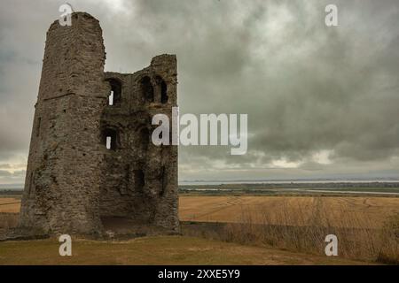 Castello di Hadleigh, Regno Unito. 24 agosto 2024. Una torre di pietra solitaria e intemprata sorge su una collina erbosa, probabilmente i resti di una fortificazione medievale. Il paesaggio circostante è caratterizzato da campi dorati e da una via d'acqua lontana sotto un cielo soffocato e coperto. La scena evoca temi di solitudine, storia e decadimento rurale. Un inizio bagnato e cupo per il fine settimana festivo al Castello di Hadleigh, affacciato sull'estuario del Tamigi. Penelope Barritt/Alamy Live News Foto Stock