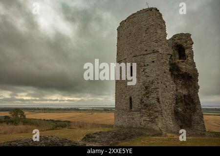 Castello di Hadleigh, Regno Unito. 24 agosto 2024. Una torre di pietra solitaria e sbriciolante si erge in un campo rurale spazzato dal vento sotto un drammatico cielo coperto. La struttura, probabilmente un residuo di fortificazione medievale, evoca temi di decadenza storica e solitudine. L'erba marrone-dorata circostante suggerisce la fine dell'estate o l'inizio dell'autunno nella campagna britannica. Un inizio bagnato e cupo per il fine settimana festivo al Castello di Hadleigh, affacciato sull'estuario del Tamigi. Penelope Barritt/Alamy Live News Foto Stock