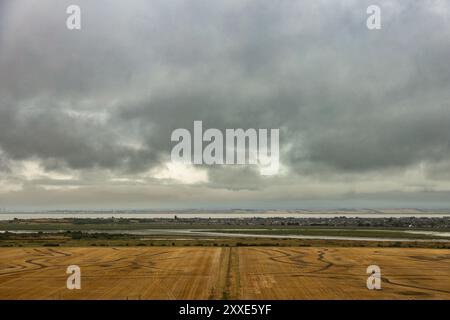 Castello di Hadleigh, Regno Unito. 24 agosto 2024. Una vista grandangolare di un campo agricolo raccolto di recente nell'Essex, Inghilterra, con binari visibili sulla superficie dorata-marrone. Oltre il campo si trova un estuario o un fiume, con una città lontana all'orizzonte. Il cielo è pieno di nuvole pesanti e scure, creando un drammatico contrasto tra terra e atmosfera. Un inizio bagnato e cupo per il fine settimana festivo al Castello di Hadleigh, affacciato sull'estuario del Tamigi. Penelope Barritt/Alamy Live News Foto Stock