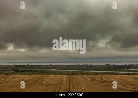 Castello di Hadleigh, Regno Unito. 24 agosto 2024. Un ampio campo agricolo con modelli di prodotto visibili si estende verso Canvey Island. Oltre l'insediamento si trova il fiume Tamigi, con formazioni rocciose lontane all'orizzonte. Il cielo è ricoperto da nuvole spesse e scure, che suggeriscono pioggia in arrivo o tempesta. Un inizio bagnato e cupo per il fine settimana festivo al Castello di Hadleigh, affacciato sull'estuario del Tamigi. Penelope Barritt/Alamy Live News Foto Stock