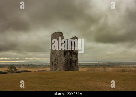 Castello di Hadleigh, Regno Unito. 24 agosto 2024. Una torre di pietra solitaria e resistente agli agenti atmosferici sorge in un campo erboso pianeggiante sotto un cielo grigio e coperto. La struttura sembra essere una rovina medievale, forse parte di un ex castello o fortificazione, che evoca temi di isolamento storico e degrado architettonico. Un inizio bagnato e cupo per il fine settimana festivo al Castello di Hadleigh, affacciato sull'estuario del Tamigi. Penelope Barritt/Alamy Live News Foto Stock