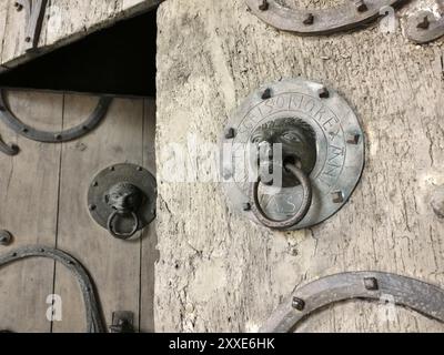 Brioude, due battitori di porta in bronzo raffiguranti un leone e una scimmia, Basilica Saint Julien (Basilique Saint Julien), alta Loira, Alvernia, Francia Foto Stock