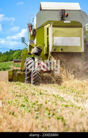 La mietitrebbia rimuove il frumento maturo. Lavoro agricolo, raccogliendo grano nel campo. Foto Stock