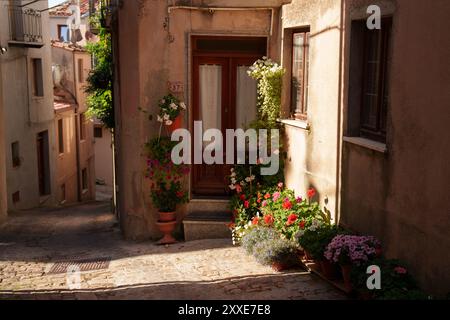 In un vicolo affascinante e pittoresco, c'è una bellissima porta adornata da un'abbondanza di fiori vivaci Foto Stock