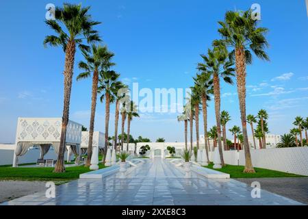 Ingresso prospettico alberato con palme e moderna casa di lusso, Sannicando di Bari, Puglia, Italia Foto Stock