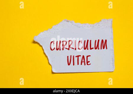 Parole del curriculum vitae scritte su un pezzo di carta bianca strappato con sfondo giallo. Simbolo del curriculum concettuale vitae. Copia spazio. Foto Stock