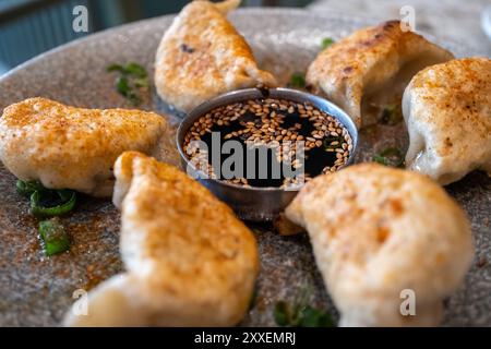 Serve gnocchi di Gyoza, un cibo comune cinese e giapponese, con salsa di soia su un piatto bianco su sfondo grigio Foto Stock