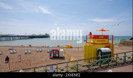 Una vista panoramica di Brighton Beach con la torre della Guardia vitale e il molo in ripresa in una giornata di sole. Foto Stock