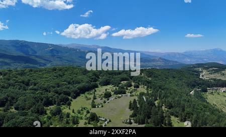 Un paesaggio mozzafiato si dispiega con ampie valli verdi punteggiate di alberi, che conducono a maestose montagne in lontananza sotto un cielo azzurro Foto Stock