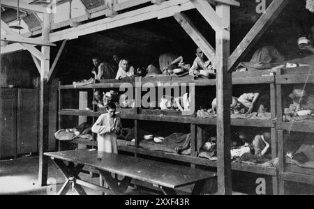 I sopravvissuti di Gaunt giacevano nei loro cuccioli nel campo di concentramento di Buchenwald. Buchenwald e i suoi 139 sottocampi erano campi di lavoro forzato, non campi di sterminio e lì non c'erano camere a gas. Tuttavia cattive condizioni, abusi ed esecuzioni hanno portato a 56500 morti. Liberata dall'esercito americano l'11 aprile 1945. La foto è datata 16 aprile 1945, cinque giorni dopo che il campo è stato liberato dall'esercito americano. Foto Stock