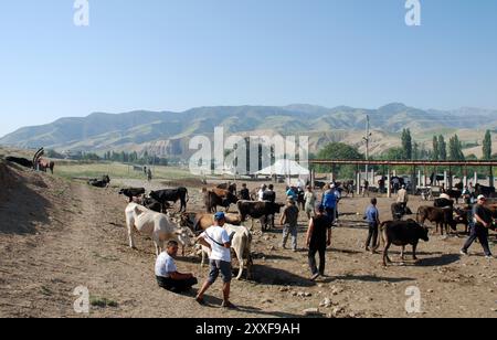 Un mercato del bestiame in Kirghizistan, asia centrale Foto Stock