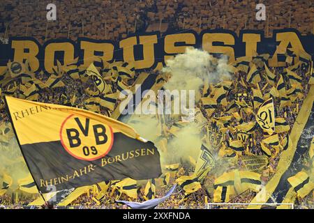 Dortmund, Germania. 24 agosto 2024. Calcio, Bundesliga, Borussia Dortmund - Eintracht Frankfurt, Matchday 1, Signal Iduna Park, veduta del blocco tifosi di Dortmund prima della partita. NOTA IMPORTANTE: In conformità con i regolamenti della DFL German Football League e della DFB German Football Association, è vietato sfruttare o fare sfruttare fotografie scattate nello stadio e/o della partita sotto forma di immagini sequenziali e/o serie di foto video. Crediti: Bernd Thissen/dpa/Alamy Live News Foto Stock