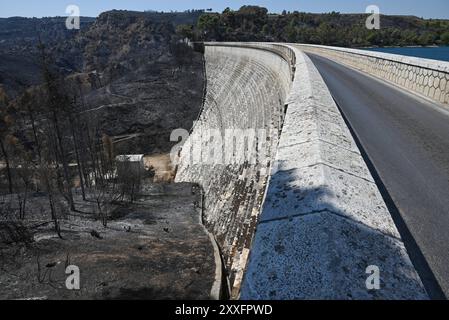 Aftermath of the east Attica wildfire in Lake Marathon View of Marathon Dam surrounded by burned tree trunks following the devastating wildfire that raged in east Attica between August 11 and August 13, 2024. Marathon Reservoir is a major water supply for Athens. Athens Greece Copyright: xNicolasxKoutsokostasxNicolasxKoutsokostasx DSC 202408240027 Stock Photo