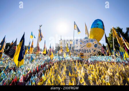 Kiev, Kiev, Ucraina. 24 agosto 2024. Giorno dell'indipendenza Ucraina, bandiere ucraine per soldati caduti e vittime civili dell'invasione russa su vasta scala dell'Ucraina nella piazza dell'indipendenza Majdan Nesaleschnosti. (Credit Image: © Andreas Stroh/ZUMA Press Wire) SOLO PER USO EDITORIALE! Non per USO commerciale! Foto Stock