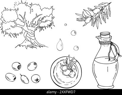 Set di olivo, brocca in vetro, gocce d'olio, frutta d'oliva e rami nella ciotola dell'olio dalla vista dall'alto. Disegni a linee botaniche disegnati a mano, illustrazione vettoriale Illustrazione Vettoriale