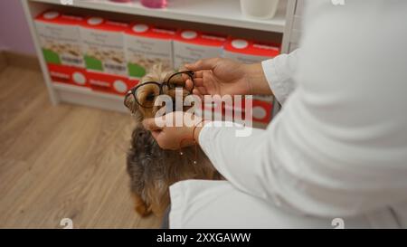 Un uomo in farmacia mette gli occhiali su un cane piccolo, tenendo la testa delicatamente con entrambe le mani. Foto Stock