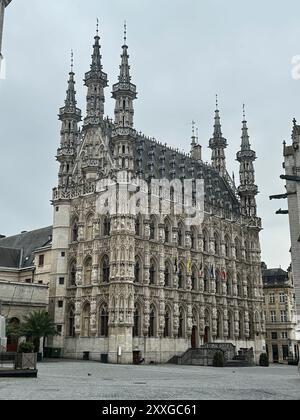 Foto Leuven City Hall Belgio europa Foto Stock