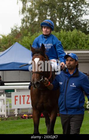 MIDNIGHT THUNDER ridden by jockey Kieran O'Neill wins the Get Raceday Ready Novice Stakes (Class 5) (GBB Race) at Royal Windsor Racecourse in Windsor, Berkshire at the Summer Closing Party. Owner and Breeder Godolphin, Trainer Saeed bin Suroor, Newmarket, Sponsor Emirates Fly Better. Credit: Maureen McLean/Alamy Live News Stock Photo