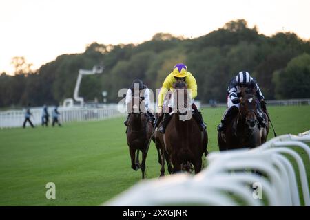 Windsor, Berkshire, Regno Unito. 24 agosto 2024. MY PROSPERO guidato dal fantino Kieren Fallon (sete gialle) vince la Weatherbys Global Stallions App Winter Hill Stakes (Classe 1) (gruppo 3) al Royal Windsor Racecourse di Windsor, Berkshire, al Summer Closing Party. Proprietario e allevatore Sunderland Holding Inc, allenatore William Haggas, Newmarket, Sponsor Somerville Lodge Ltd Crediti: Maureen McLean/Alamy Live News Foto Stock