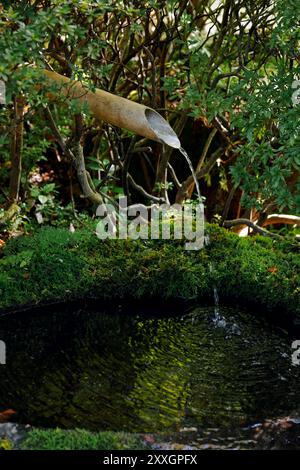 Beccuccio d'acqua di bambù collocato in un giardino giapponese Foto Stock