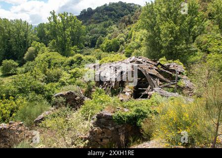 La grotta sul tetto di una casa colonica e le rovine di un villaggio abbandonato conquistato dalla natura nei pressi della città A Pobra de Brollón lungo il cammino de Invierno verso Santiago de Compostela Foto Stock