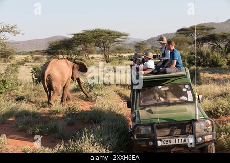 30 maggio 2016. Africa, Kenya, riserva nazionale di Samburu. Elefanti a Savannah. (Loxodonta africana). Turisti che fotografano. 2016-08-04 Foto Stock