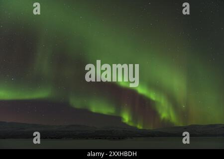 Aurora boreale (Aurora boreale) sul lago ghiacciato Tornetraesk, Norrbotten, Lapponia, Svezia, gennaio 2014, Europa Foto Stock