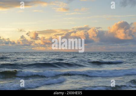 Parco nazionale Stenshuvud a Kivik, Svezia, vicino al Mar Baltico. Parco nazionale Stenshuvud a Kivik, Svezia, Europa Foto Stock