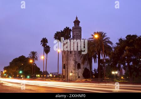 Torre del Oro a Siviglia, Spagna di notte Foto Stock