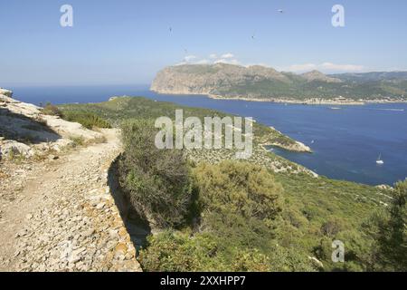 Morro d'en Fabioler desde el cammino de Na Popia. Parque Natural de sa Dragonera.Andratx.Ponent.Mallorca.Baleari.Espana Foto Stock