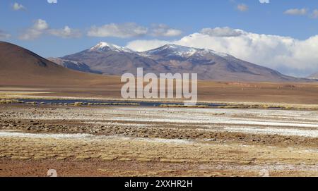 Panorama montano nel deserto di Atacama, in Cile, vicino a San Pedro de Atacama Foto Stock