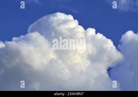 Il Cumulus bianche nuvole contro il cielo blu closeup Foto Stock