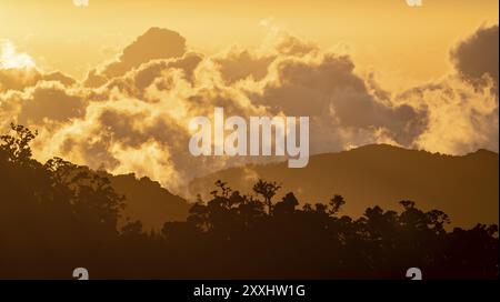 Atmosfera serale, nuvole sulla foresta pluviale, foresta pluviale di montagna, Parque Nacional Los Quetzales, Costa Rica, America centrale Foto Stock