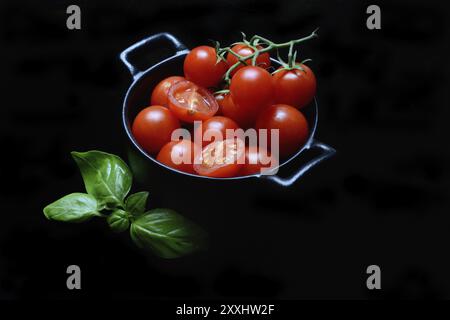 Pomodori ciliegini in pentole, pomodoro ciliegino, Solanum lycopersicum Foto Stock