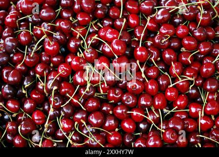 Molte ciliegie rosse al banco del mercato Foto Stock