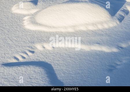 Strutture innevate in un torrente ghiacciato, Parco Nazionale Muddus, Laponia Patrimonio dell'Umanità, Norrbotten, Lapponia, Svezia, ottobre 2012, Europa Foto Stock