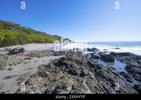 Spiaggia di sabbia tropicale con palme, Playa Montezuma, Montezuma, penisola di Nicoya, provincia di Puntarenas, costa Rica, America centrale Foto Stock