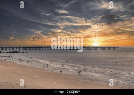 Spiaggia di Coney Island con Pat Auletta Steeplechase Pier durante il tramonto con un sacco di gabbiani seduti e volanti intorno, sfondo idilliaco Foto Stock