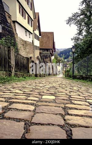 Altensteig Berneck nella Foresta Nera Foto Stock