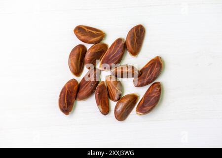 Semi di mela di velluto (Diospyros Blancoi) su una superficie di legno chiaro. Vista dall'alto. Foto Stock