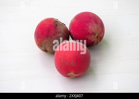 Tre frutti di mela di velluto freschi su una superficie di legno chiaro. Il suo nome scientifico è Diospyros Blancoi ed è conosciuto come gaab in Bangladesh. Foto Stock