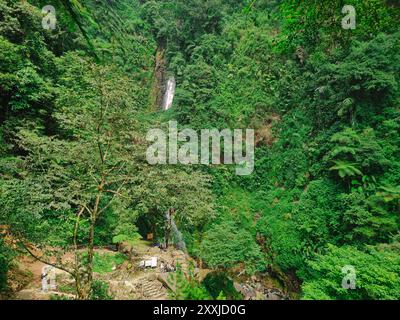 Vista della lussureggiante foresta pluviale di Bogor indonesia con cascata in lontananza, giungla tropicale con biodiversità. Foto Stock