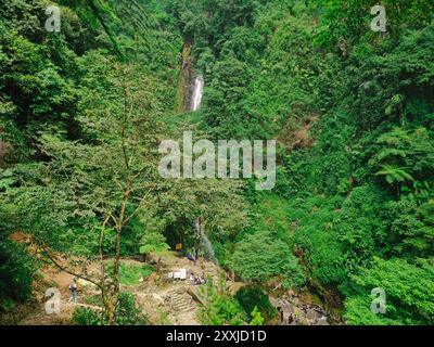 Vista della lussureggiante foresta pluviale di Bogor indonesia con cascata in lontananza, giungla tropicale con biodiversità. Foto Stock