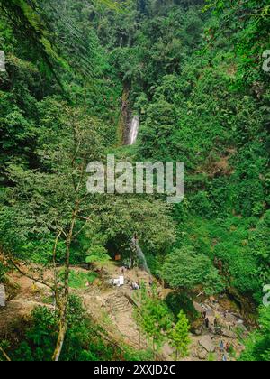 Vista della lussureggiante foresta pluviale di Bogor indonesia con cascata in lontananza, giungla tropicale con biodiversità. Foto Stock