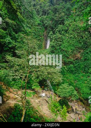 Vista della lussureggiante foresta pluviale di Bogor indonesia con cascata in lontananza, giungla tropicale con biodiversità. Foto Stock