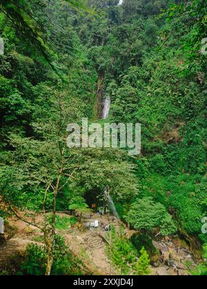 Vista della lussureggiante foresta pluviale di Bogor indonesia con cascata in lontananza, giungla tropicale con biodiversità. Foto Stock