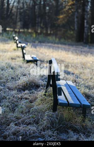 Fila di panchine nel tardo autunno durante l'orientamento verticale delle prime gelate Foto Stock