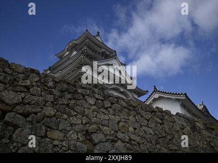 Vista panoramica del fossato e dell'impressionante Main Donjon curvo gables, parte di Himeji-jō, il famoso "White Heron Castle" a Hyōgo, Kansai, Giappone. Foto Stock