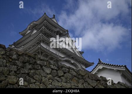 Vista panoramica del fossato e dell'impressionante Main Donjon curvo gables, parte di Himeji-jō, il famoso "White Heron Castle" a Hyōgo, Kansai, Giappone. Foto Stock