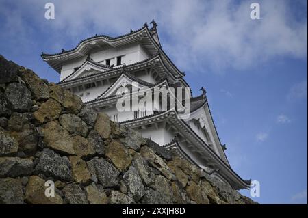 Vista panoramica del fossato e dell'impressionante Main Donjon curvo gables, parte di Himeji-jō, il famoso "White Heron Castle" a Hyōgo, Kansai, Giappone. Foto Stock